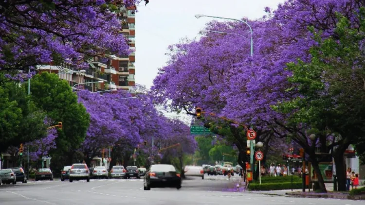 Nejlepší doba pro cestu do Buenos Aires Nejlepší doba pro cestu do Buenos Aires
